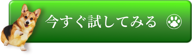 くわしくはこちら
