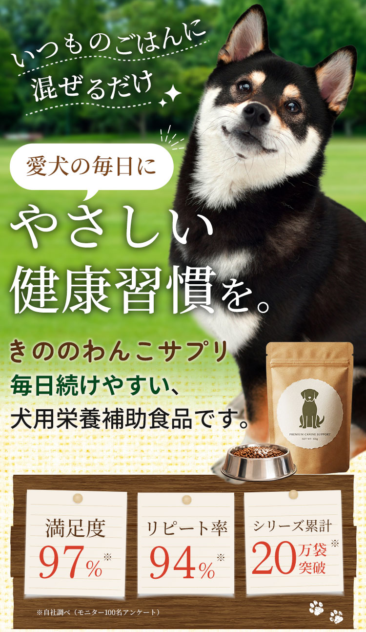 画像が表示されなかったときに出るテキスト